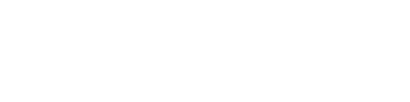Snorkel AI Logo.